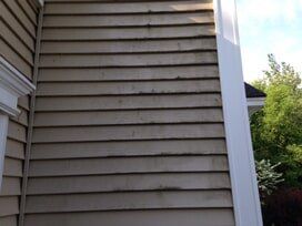 Tan siding on a building with dark streaks of mildew. White trim is visible.