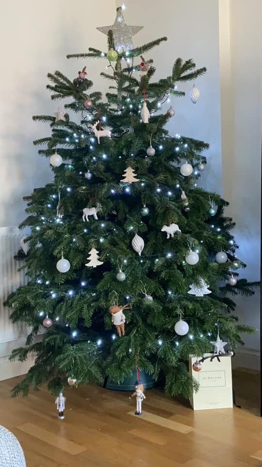 Christmas tree with white lights and ornaments, star topper, in a living room.