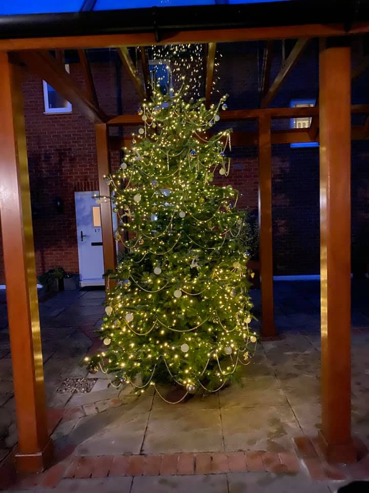 Lit Christmas tree within a wooden pergola. Warm lights, festive decorations, brick building background.
