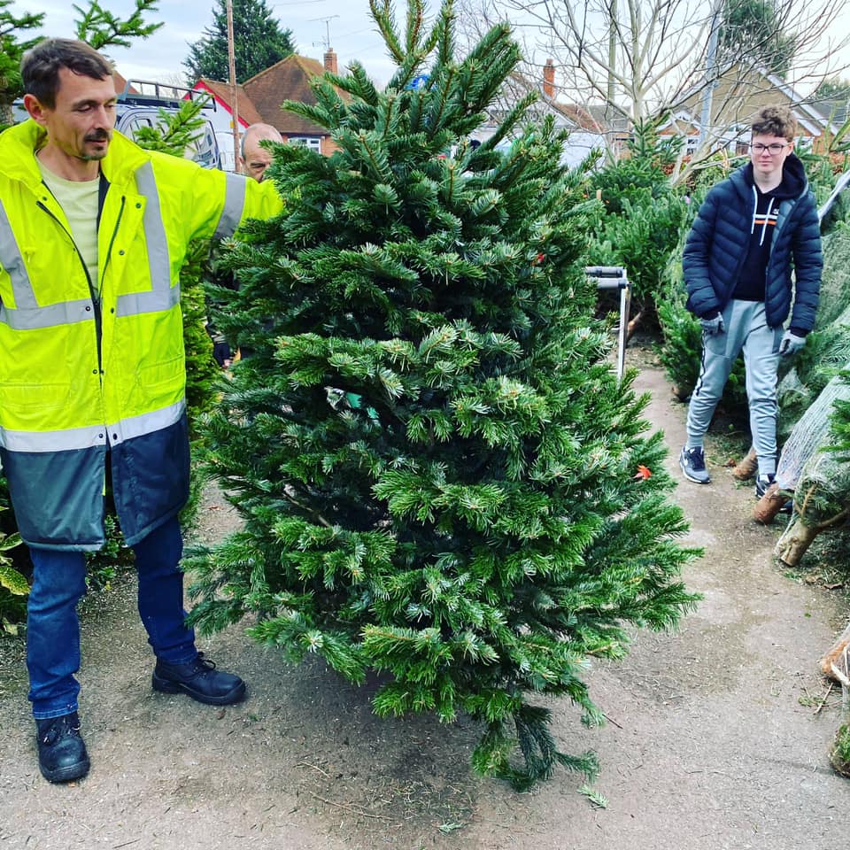 Man in yellow jacket holds a Christmas tree; another person walks in the background, outdoor setting.