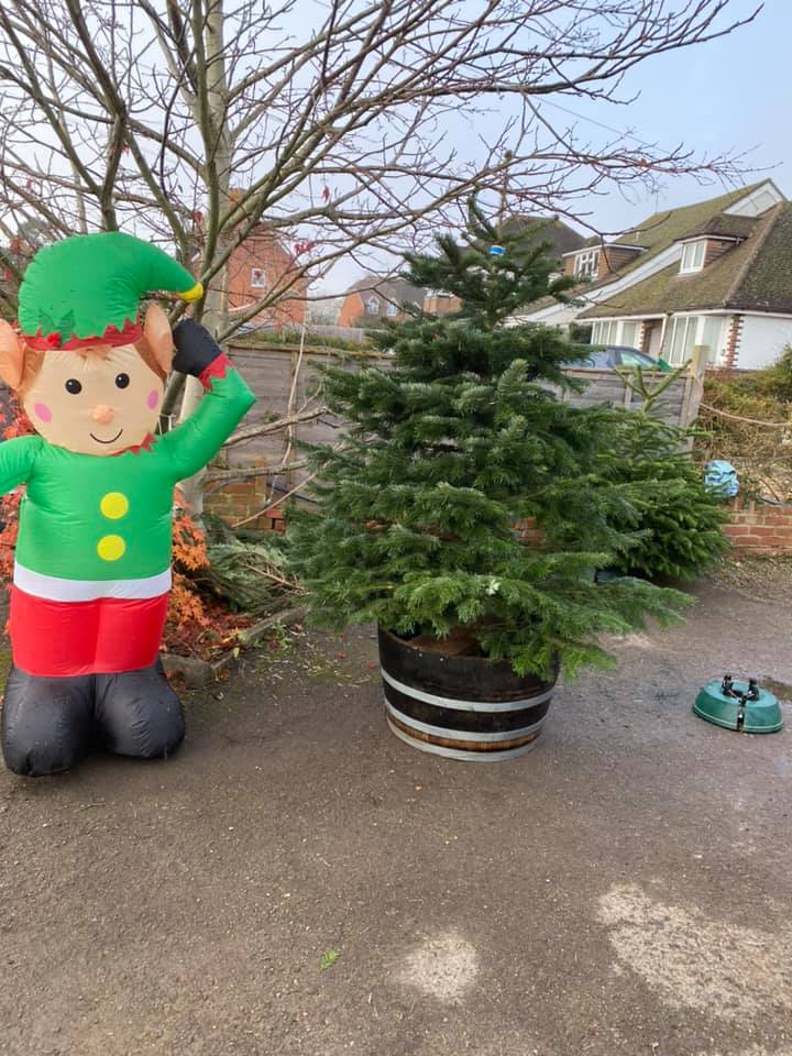 Inflatable elf next to a Christmas tree in a wooden pot outside a house.