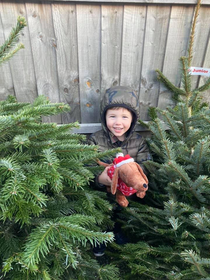 Young child smiling, holding a stuffed dog, surrounded by Christmas trees near a wooden fence.