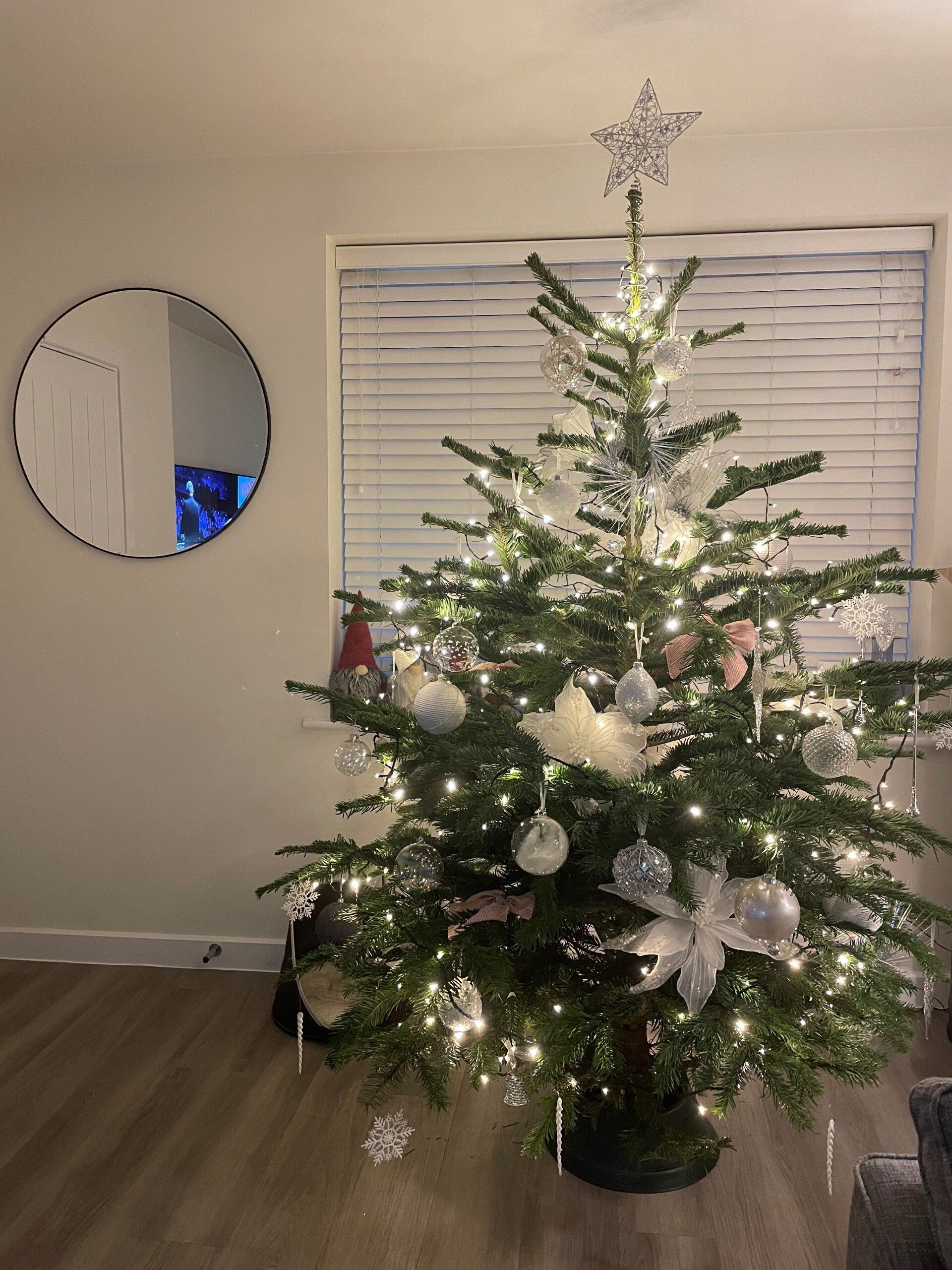 Christmas tree decorated with lights and ornaments, in front of a window and mirror.