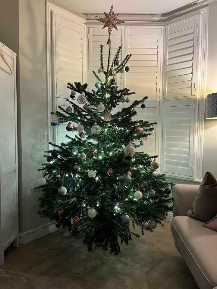 Christmas tree decorated with ornaments and lights, star on top, in front of closed white shutters.
