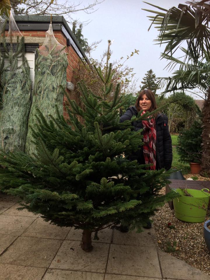 Woman standing next to a freshly cut Christmas tree outdoors. Overcast day.
