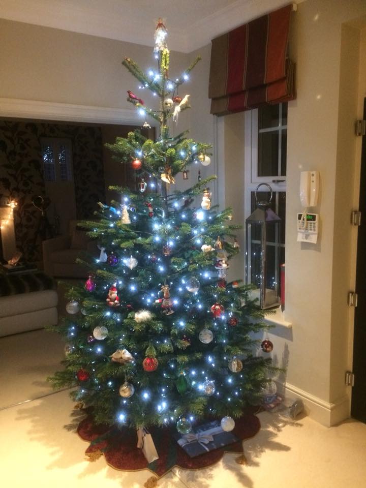 Christmas tree with white lights, ornaments, and presents, in a living room.