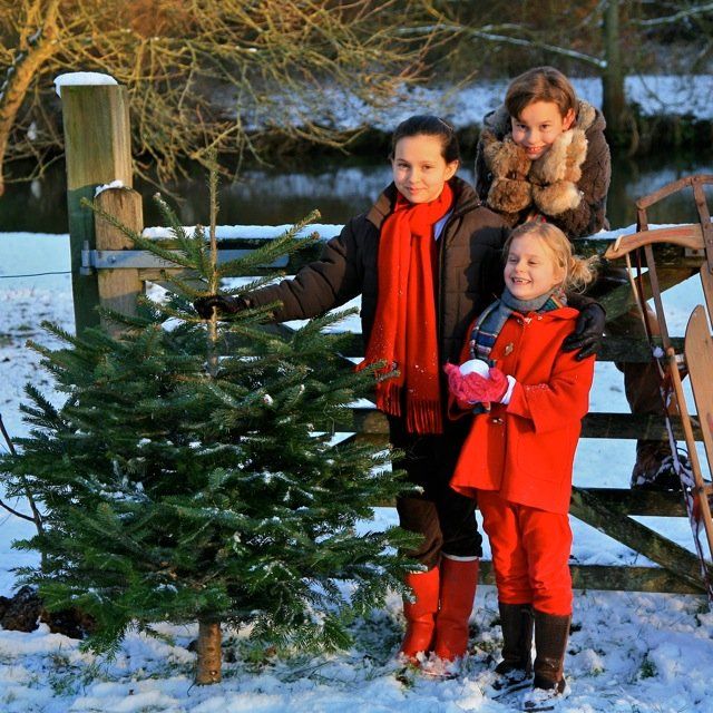 Three children in winter clothes pose next to a Christmas tree and a snow-covered fence.