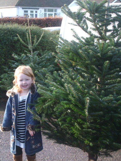 Girl smiles next to two green Christmas trees outdoors on a sunny day.
