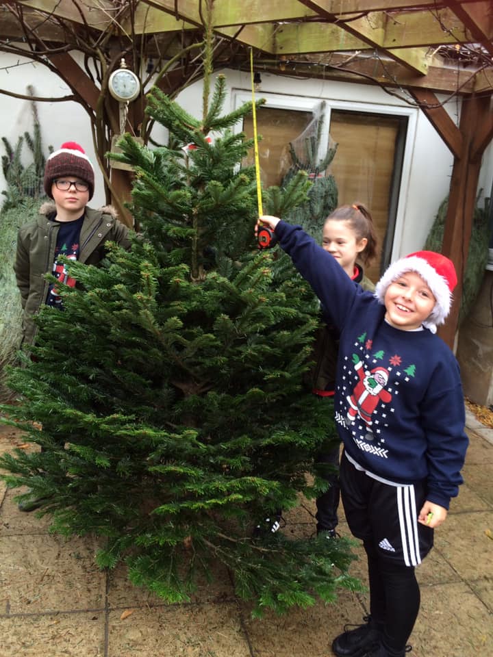 Three children measure a Christmas tree with a tape measure, outdoors. The child holding the tape smiles.