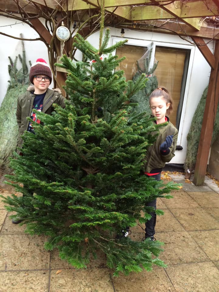Two children holding a large Christmas tree outdoors, near a building.