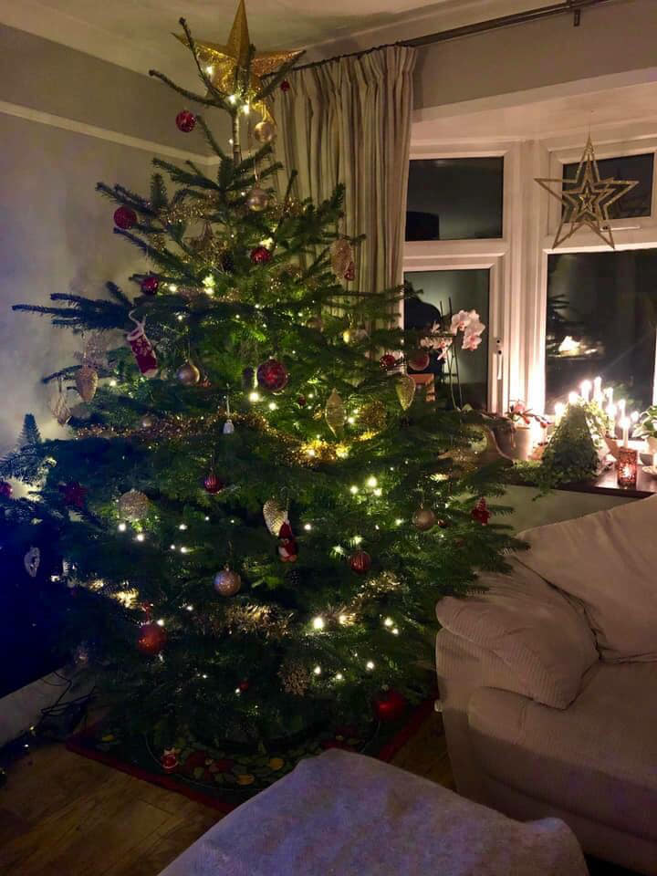 Lit Christmas tree in a cozy living room with a couch and window, decorated for the holidays.