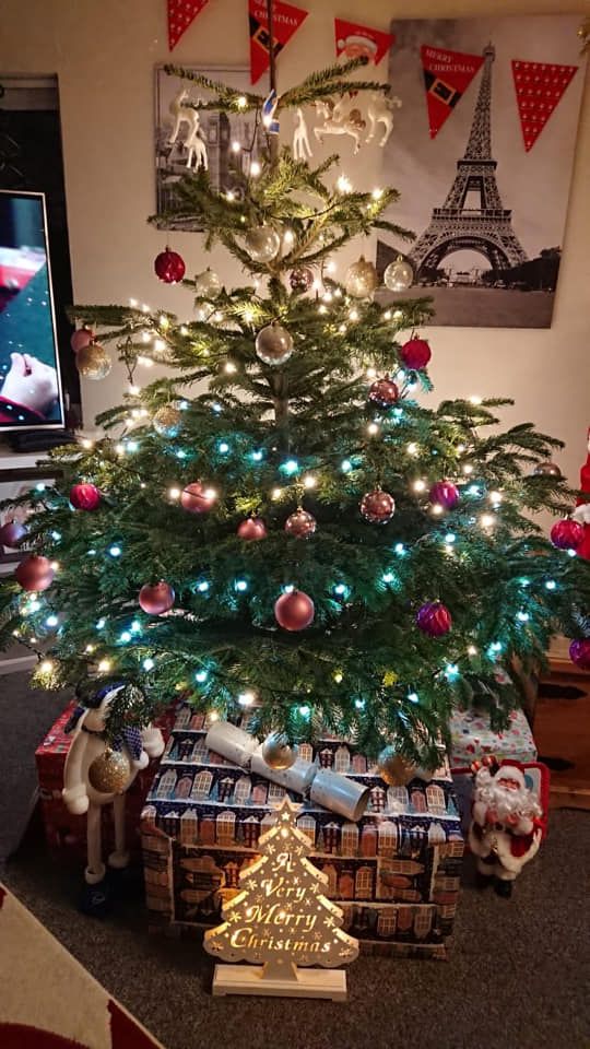 Christmas tree decorated with lights and ornaments, sitting on a trunk, with a decorative tree in front.