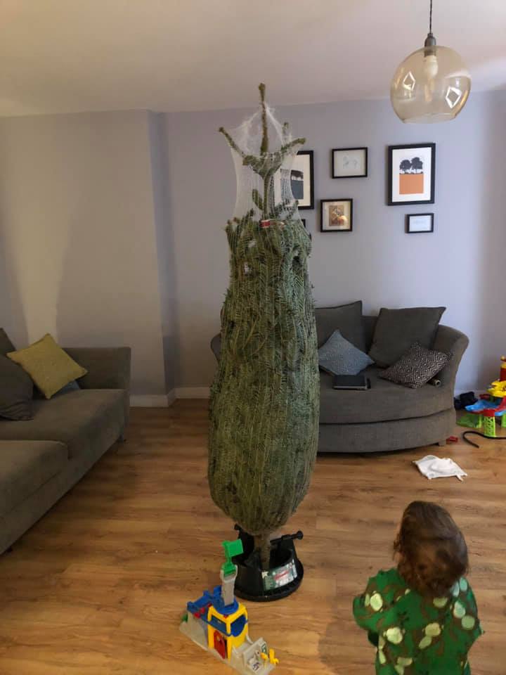 Christmas tree wrapped in green netting, with child in pajamas looking on. Living room setting.