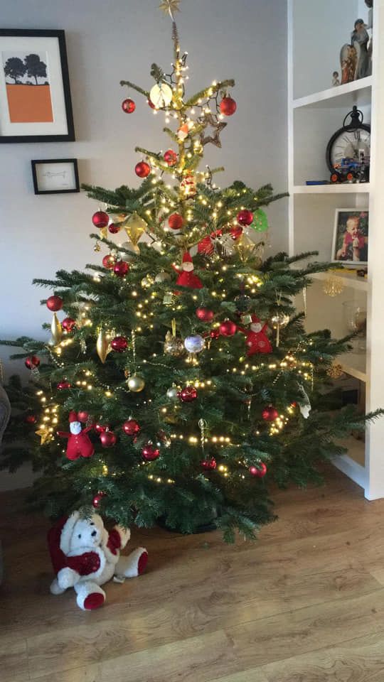 Christmas tree decorated with red ornaments and fairy lights; plush toy Santa nearby.