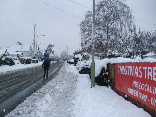 Snowy street scene. Person walks on snow-covered sidewalk next to road. Christmas tree sign visible.