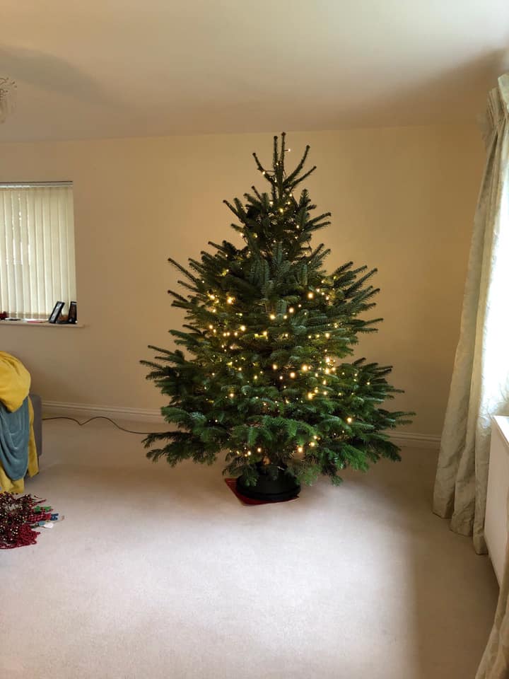 Christmas tree lit with warm lights, centered in a room with beige walls and a window.