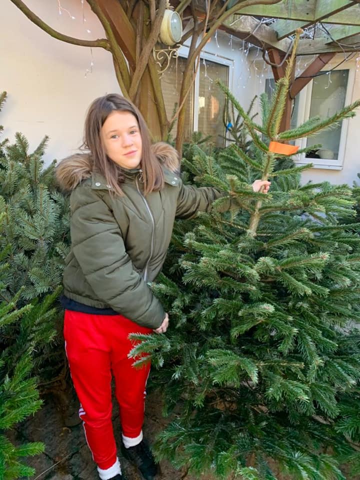 Person in olive jacket and red pants, standing next to a green Christmas tree outside a building.