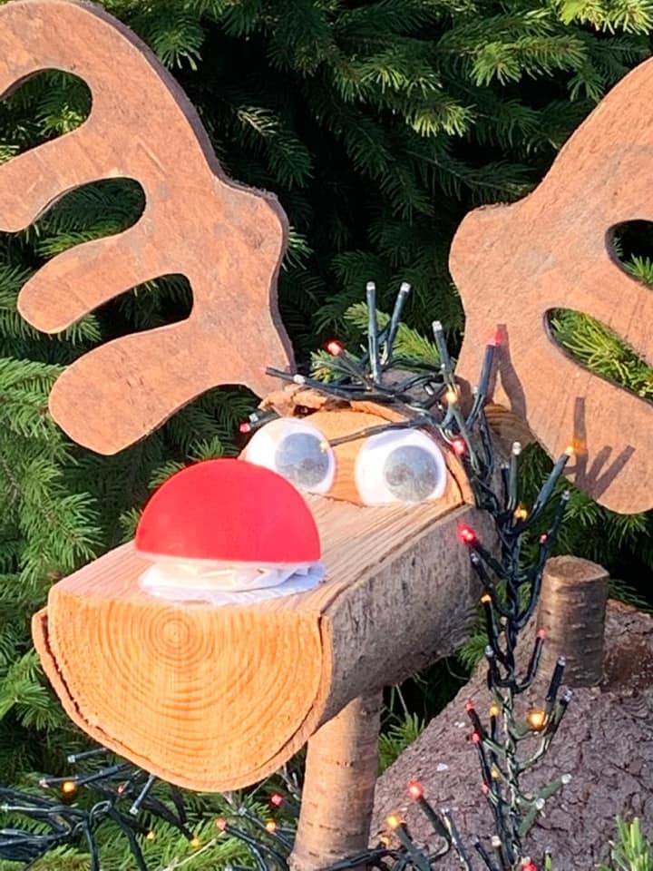 Wooden reindeer head with large antlers, red nose, and Christmas lights, set against a green tree backdrop.