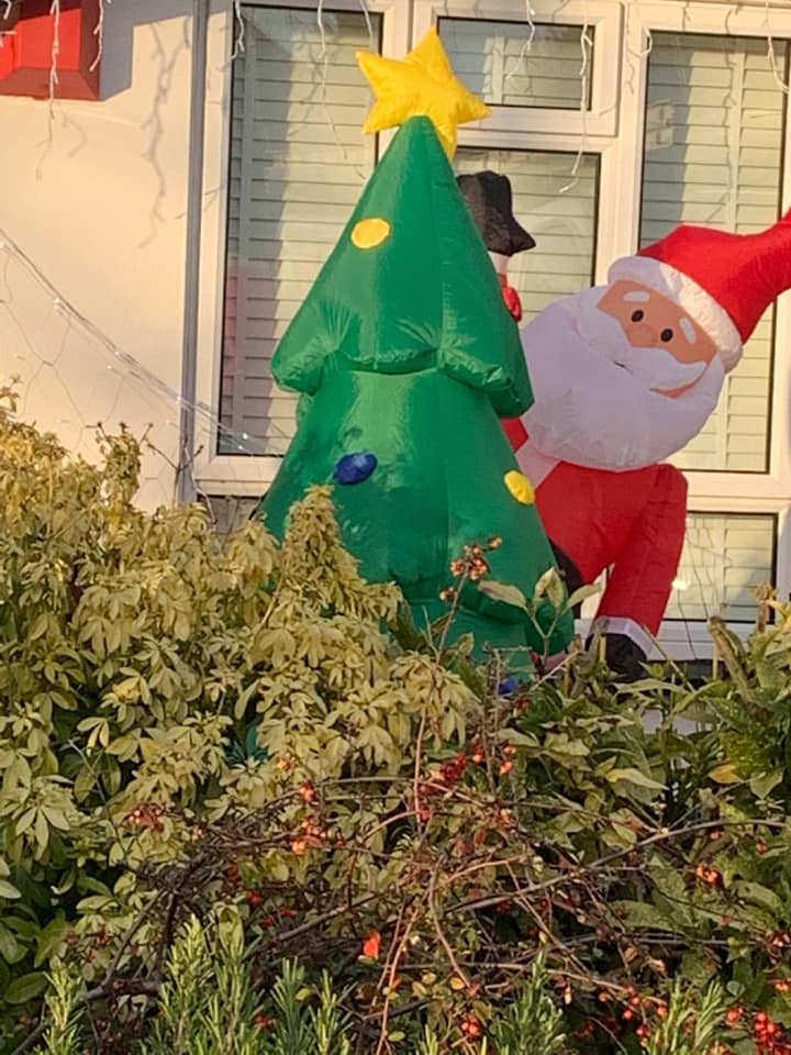 Inflatable Santa peeking around a Christmas tree, decorated with lights, in front of a window.