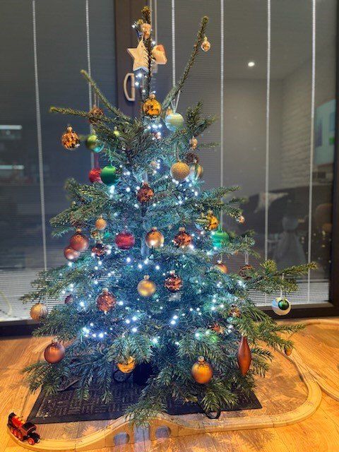 Christmas tree decorated with ornaments and lights, train set at the base, next to a window.