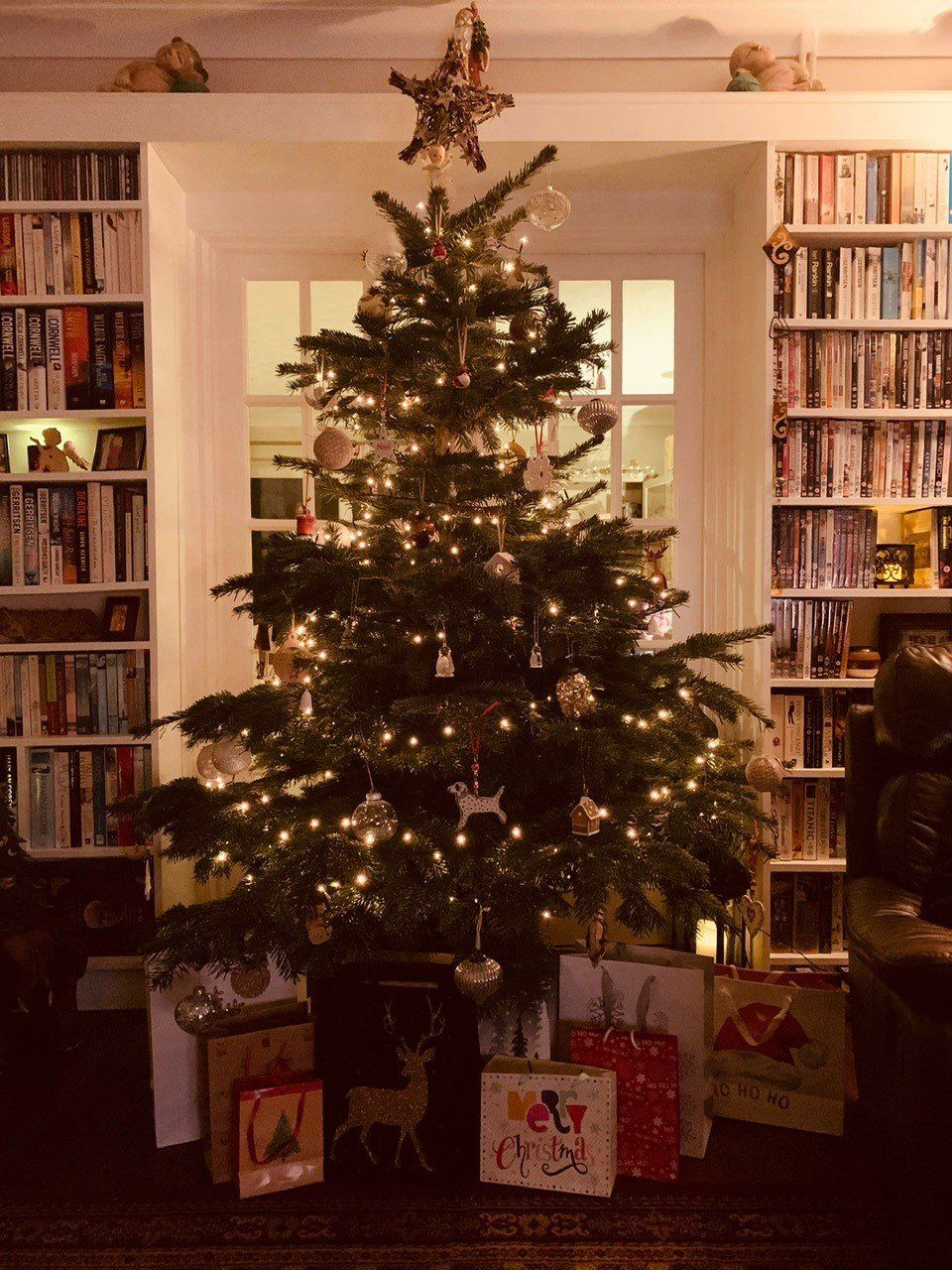 Christmas tree with ornaments and lights in front of a window, surrounded by bookshelves. Gifts underneath.
