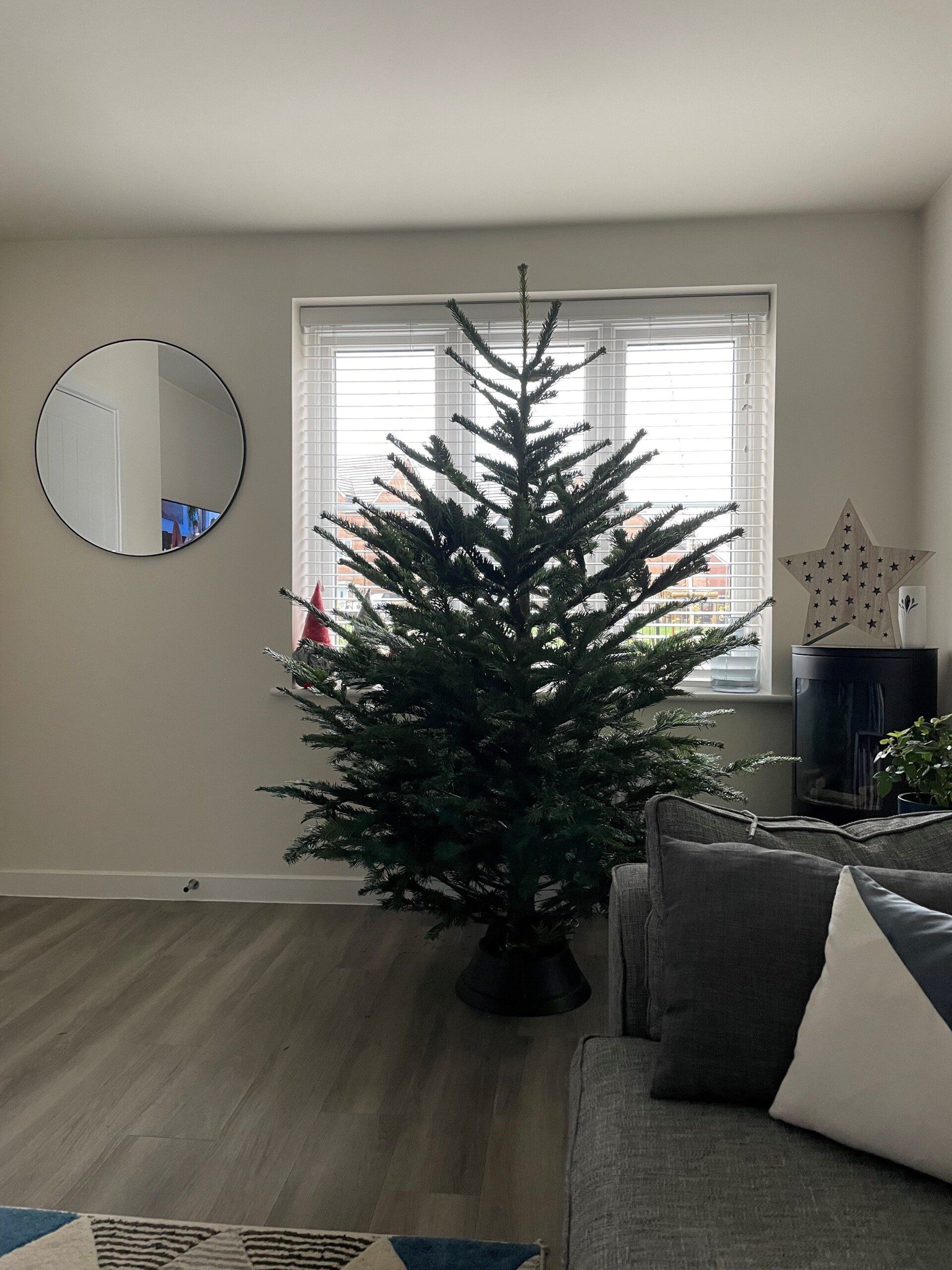 Christmas tree in a room, in front of a window. A mirror and star decoration are nearby.