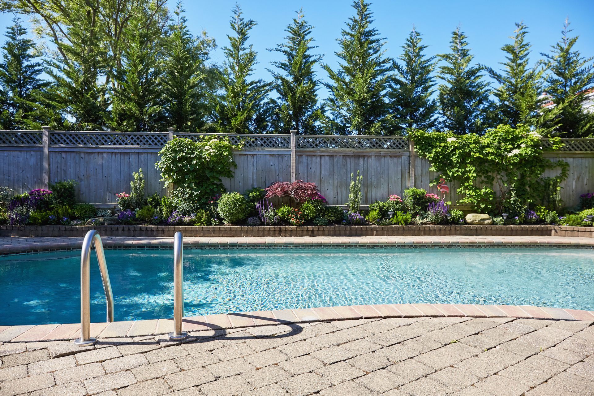 Swimming Pool Services - Olympic Pool & Spa