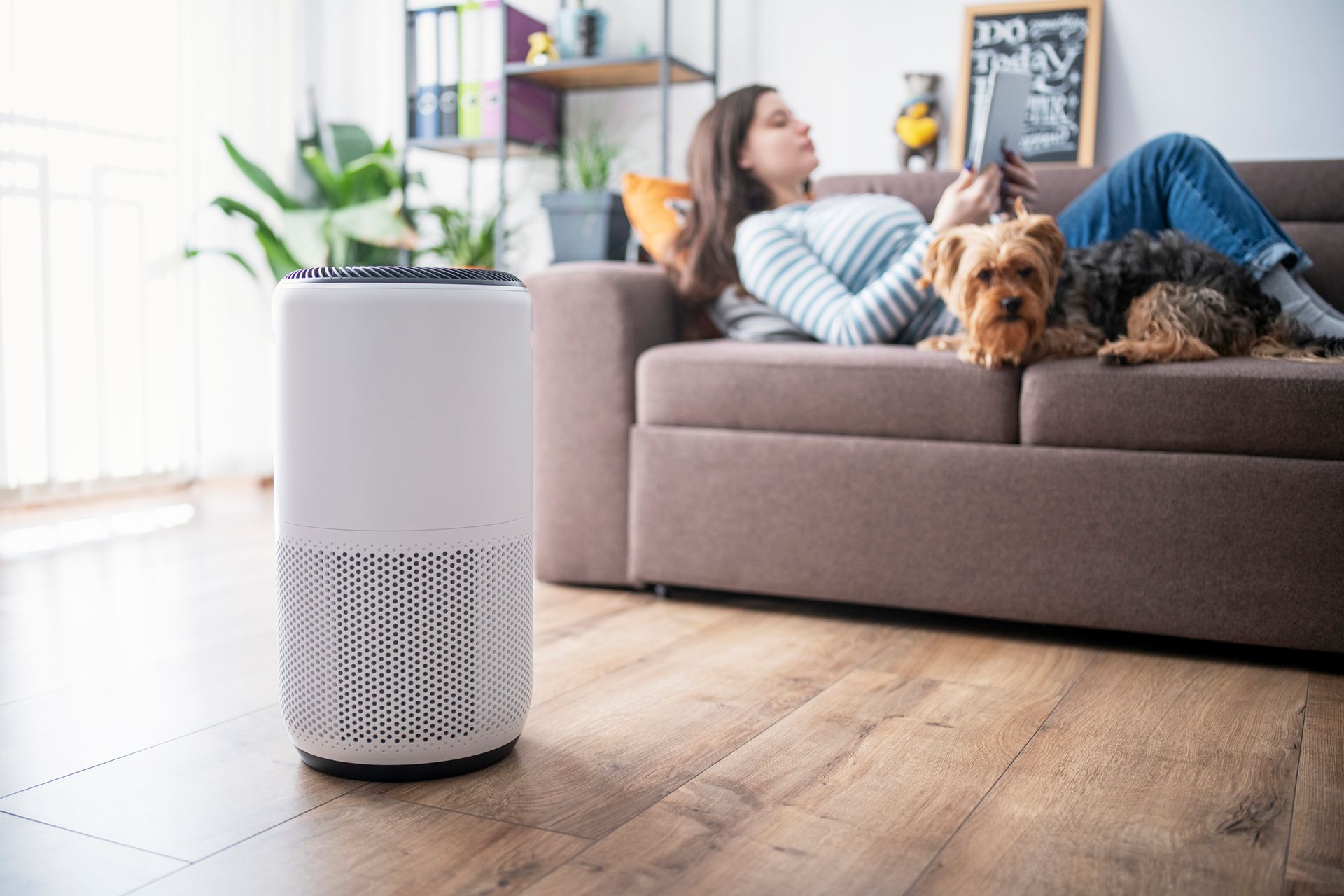A white humidifier is sitting on a white surface.