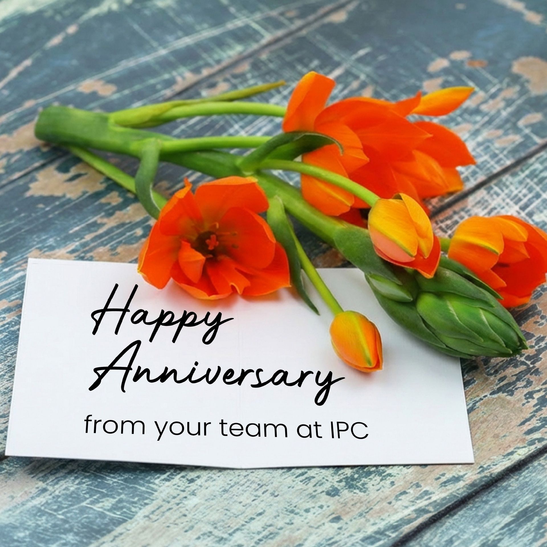 Anniversary