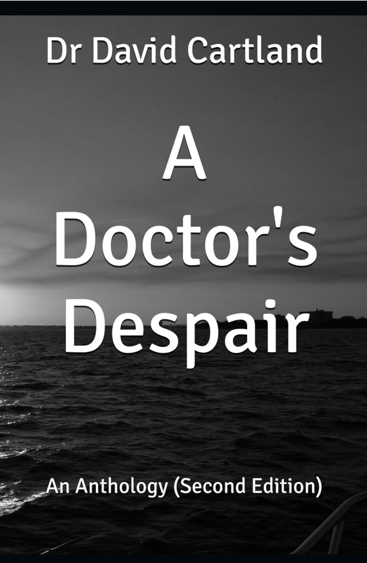 Book cover: 
