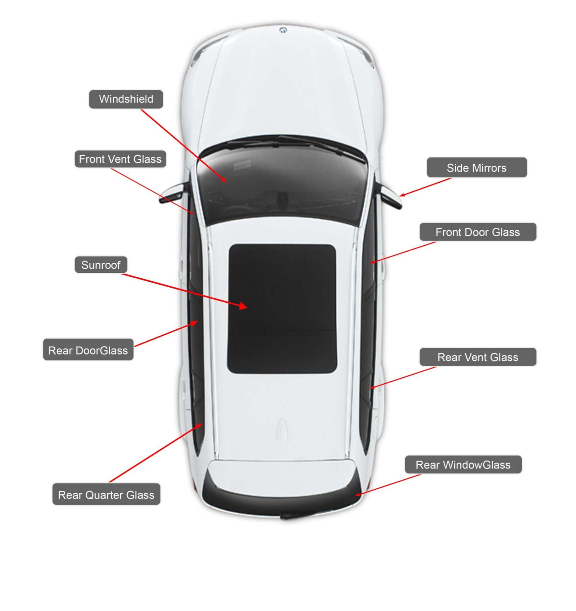 Auto Glass and Tint Orange County, CA