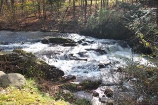 Rushing water cascading over rocks in a woodland stream; trees line the banks, sunlight dappling the scene.