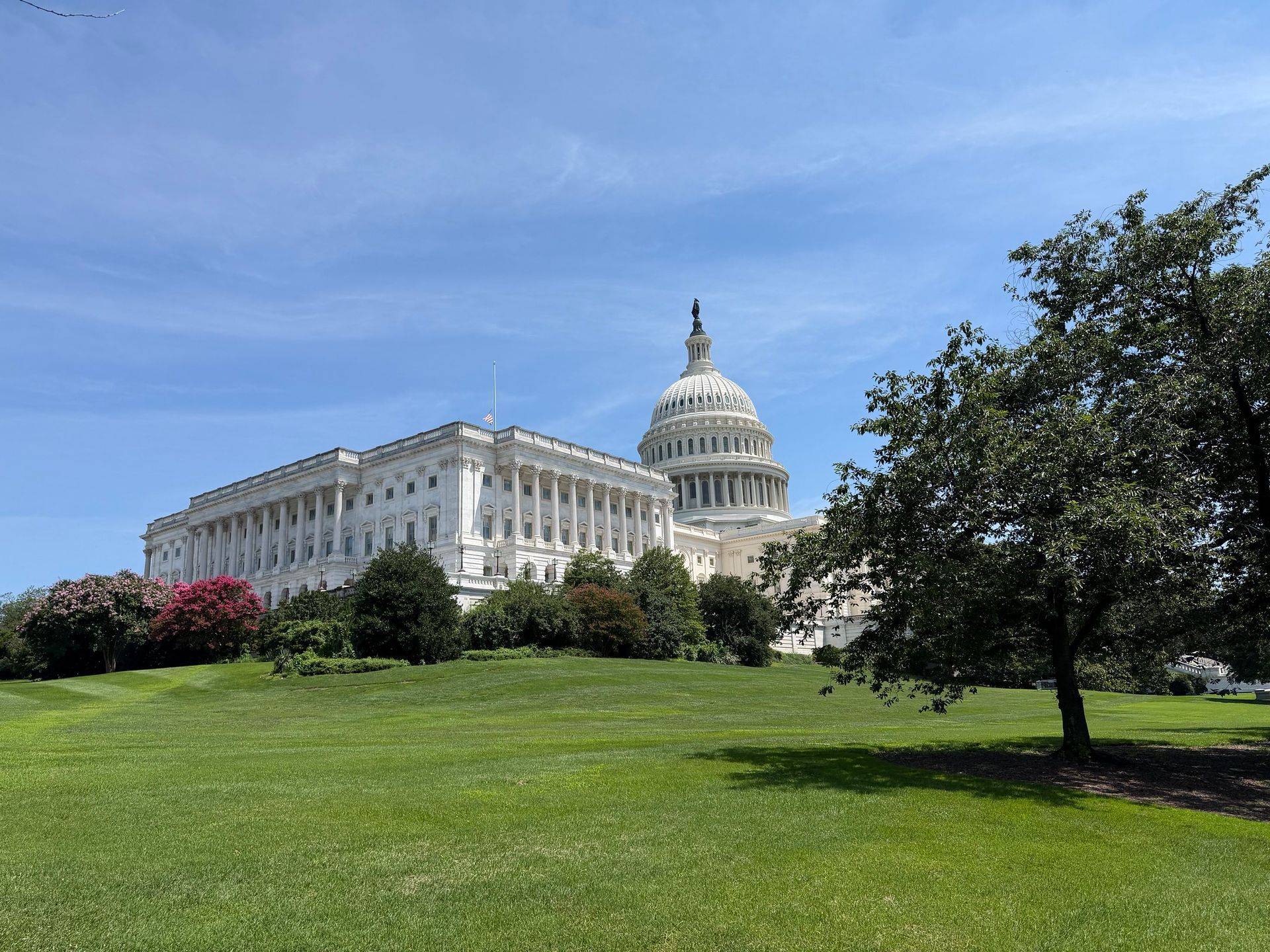 U.S. Capitol building with dome behind a green lawn and trees on a sunny day