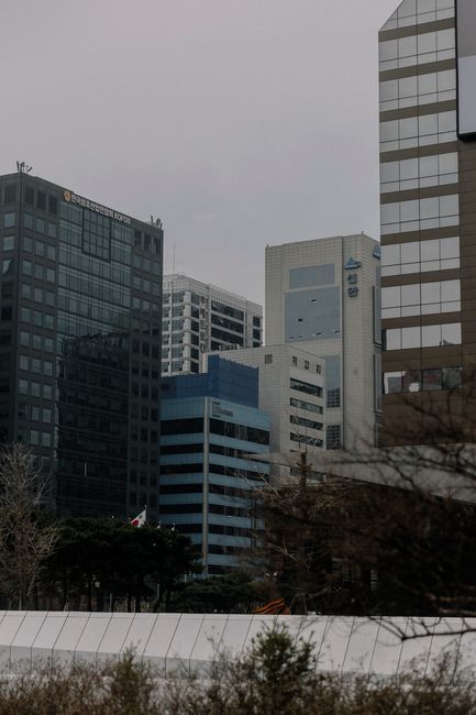 Gangnam street in Seoul for foreigners booking cervical cancer screening at Hommage Women's Clinic, Gangnam, Seoul