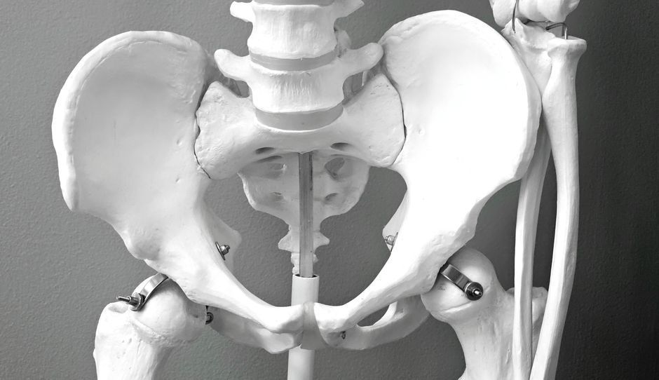 Pelvic floor anatomy explained for vaginismus and painful intercourse treatment, Hommage Women's Clinic, Gangnam, Seoul