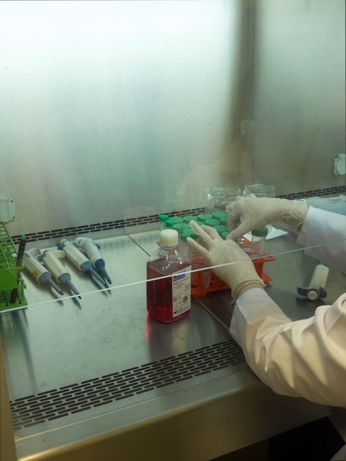 Cell laboratory research related to stem cell vaginal rejuvenation, Hommage Women's Clinic, Gangnam, Seoul