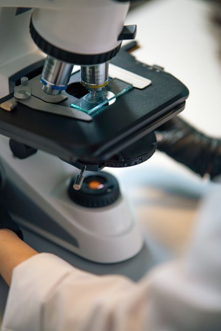 Microscope examination of a vaginal swab for vaginal infection diagnosis at Hommage Women's Clinic, Gangnam, Seoul