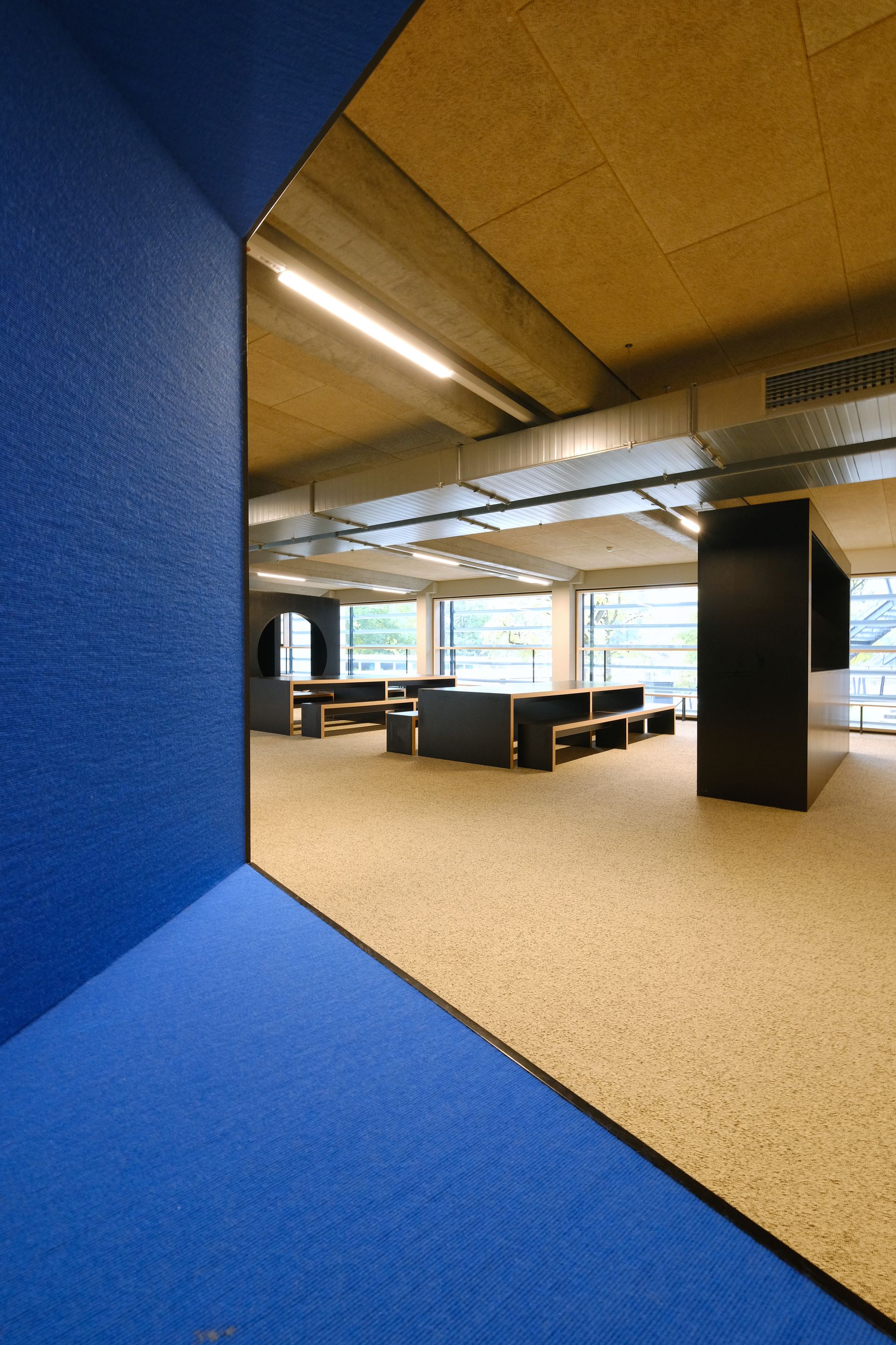 Ein Raum mit einer blauen Wand und einem blauen Teppich