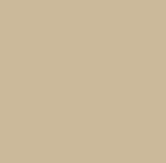 Brickform Golden Sandstone stamped concrete topical release color.