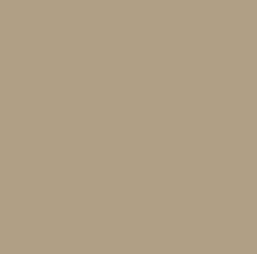 Brickform Sandy Buff stamped concrete topical release color.