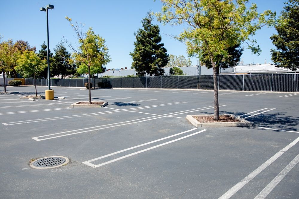 Empty parking lot with painted spaces, trees, and a chain-link fence on a sunny day