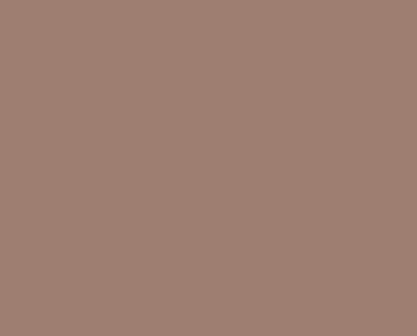 Solomon Colors Cinnamon stamped concrete integral color.