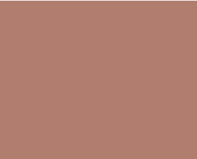 Solomon Colors Colony Red stamped concrete integral color.