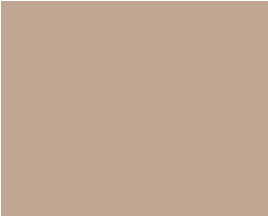 Solomon Colors Desert Tan stamped concrete integral color.