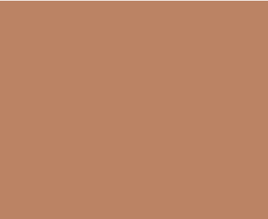 Solomon Colors Peach stamped concrete integral color.