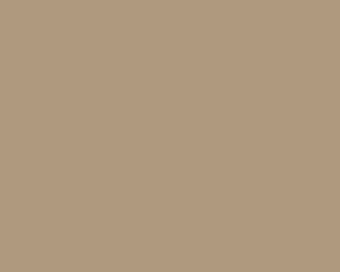 Solomon Colors Thyme stamped concrete integral color.