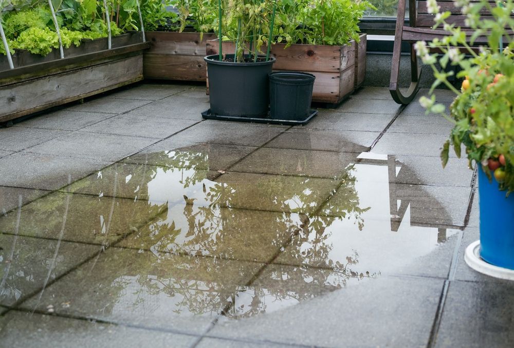 Rain-covered patio with potted plants; reflecting sky and vegetation in a large puddle.
