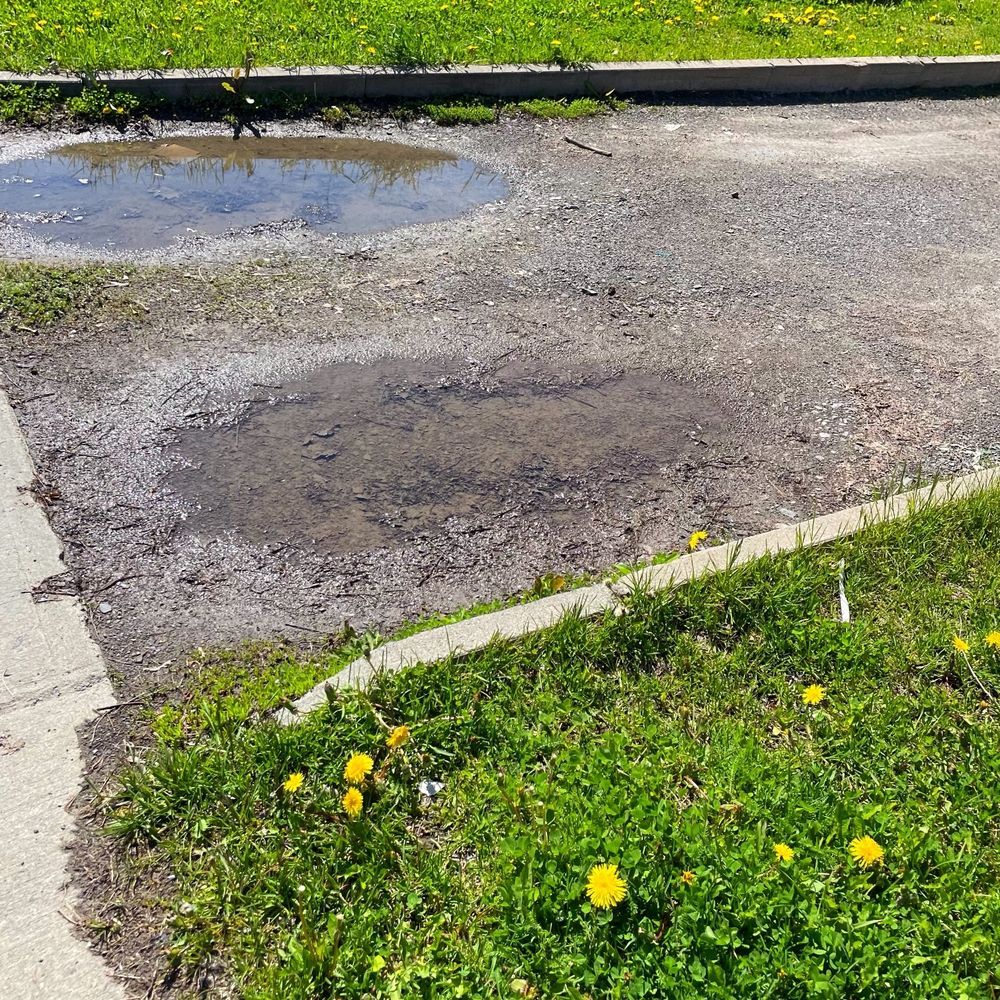 Pothole and rough asphalt patch beside a curb and grassy verge with yellow flowers