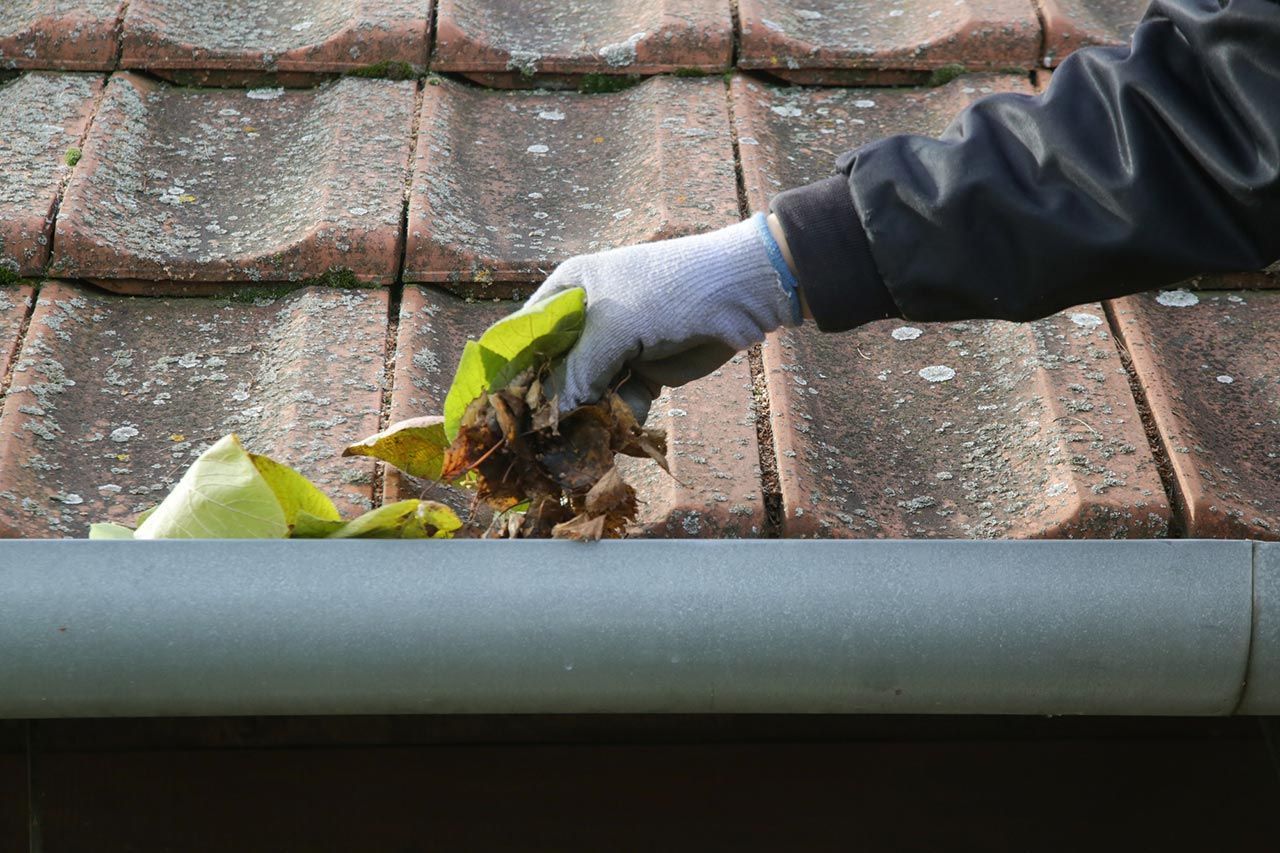 Gutter & Roof Clean Ups
