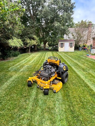 Lawn Care & Mowing